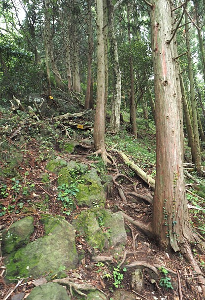 荒れた登り