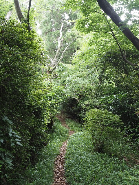 下山道