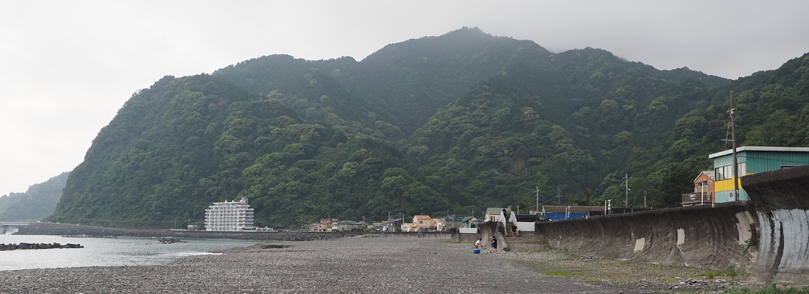 花沢山