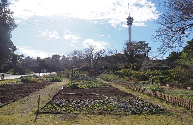 日本平・三保の松原県立自然公園