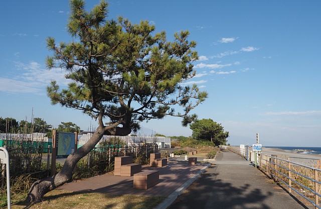 羽衣海岸緑地