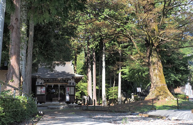 諏訪八坂山神社