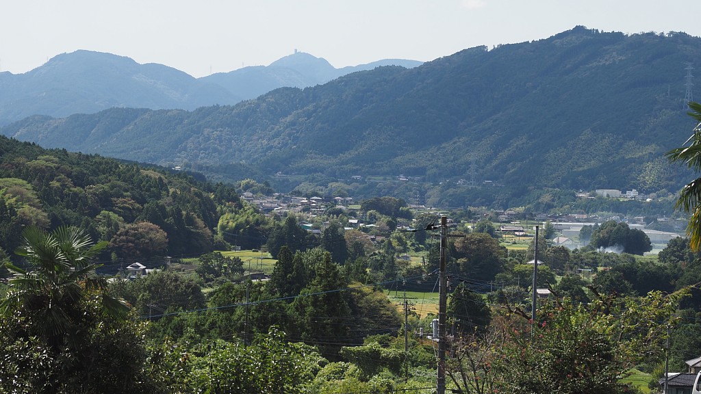 芝川流域