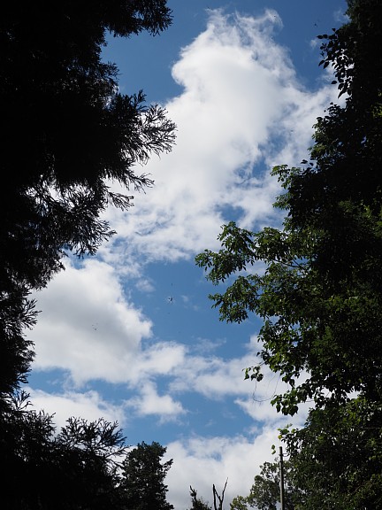 狭い空