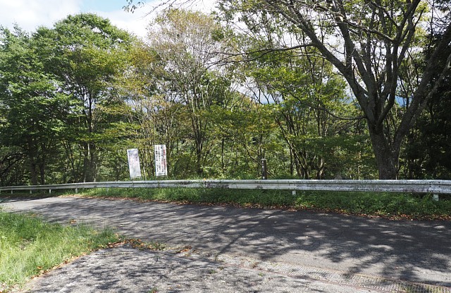 大倉川ダム沿線の道