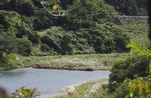 大倉川ダム