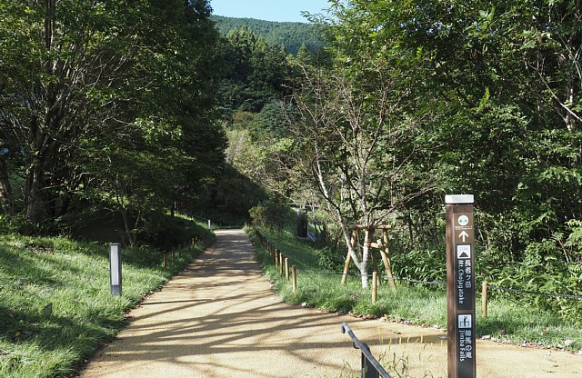 湖岸遊歩道