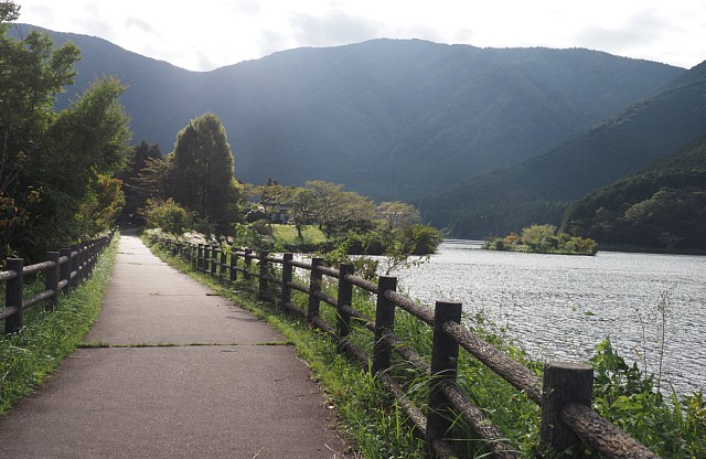 田貫湖南岸