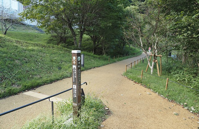 湖岸道始点
