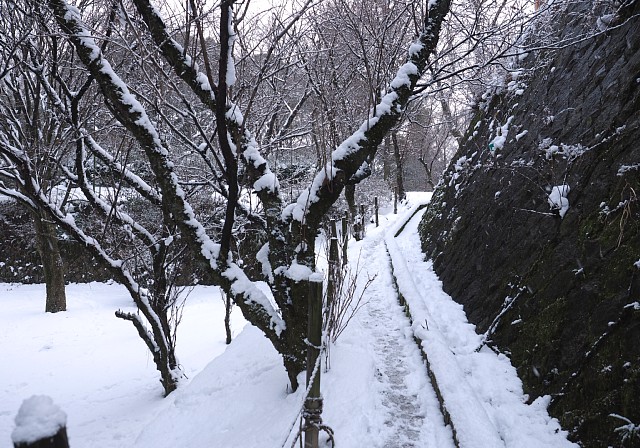 迂回路