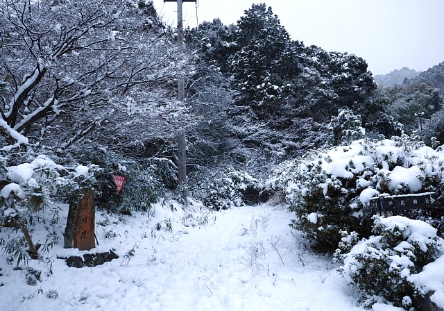 雪野原