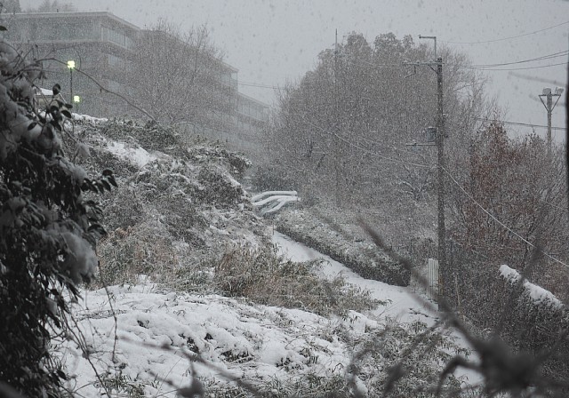 大雪