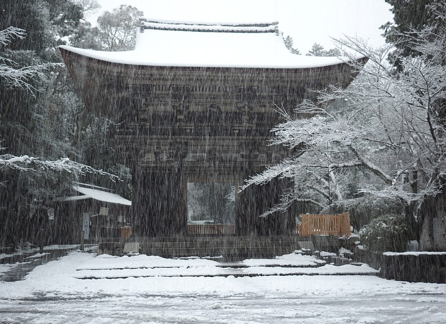 園城寺