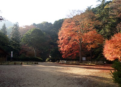 政ノ茶屋園地