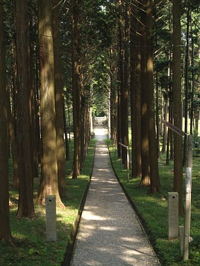 尾高観音参道