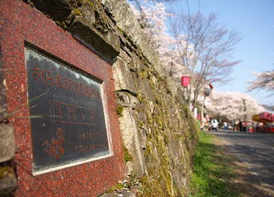 桜名所100選・霞間ヶ渓