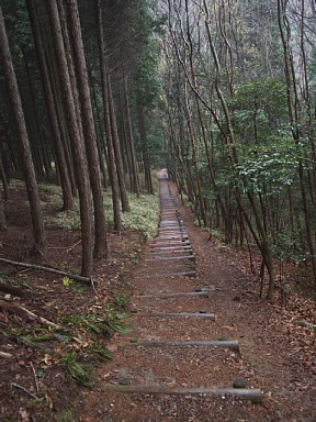 雨の愛岐丘陵縦走路