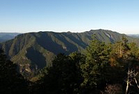 棚山高原