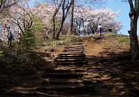 城山山頂へ