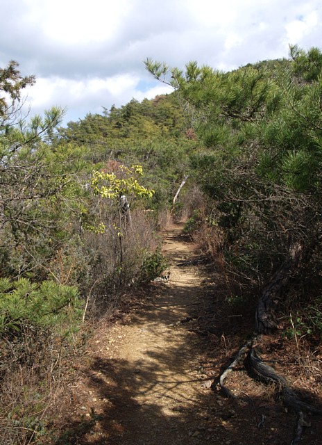 登山道