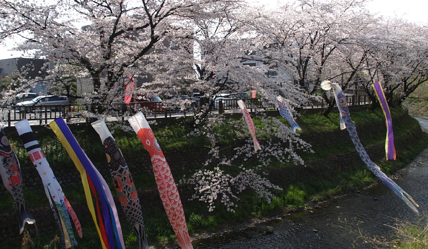 新郷瀬川