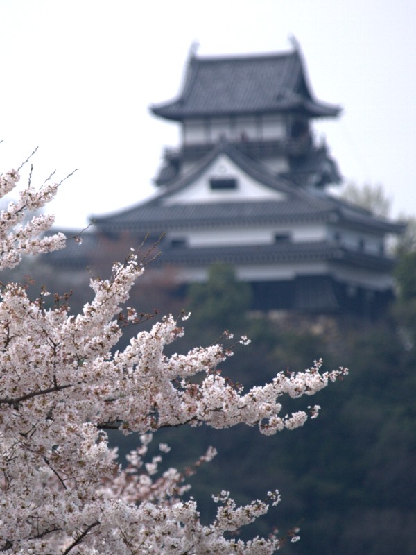 犬山城