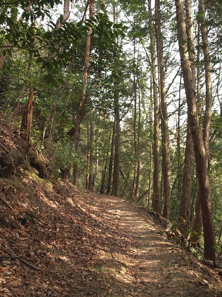 登山道