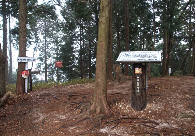 道樹山山頂