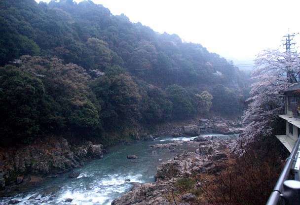 玉野川下流