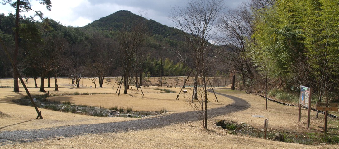 かかみ野自然遺産の森