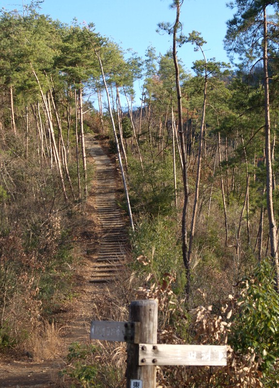 丸木階段