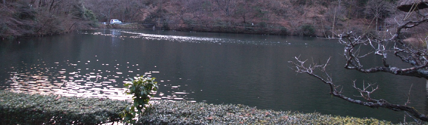 松尾池