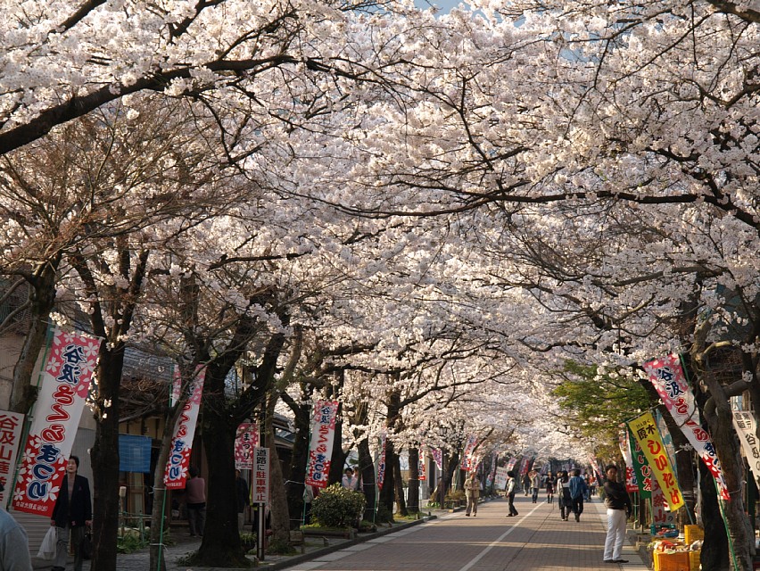 華厳寺参道