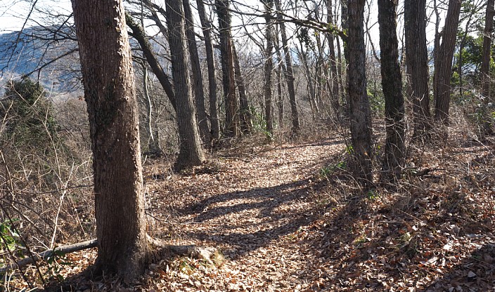 登山道