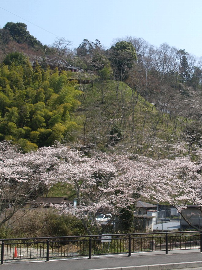 柳生正木坂剣禅道場