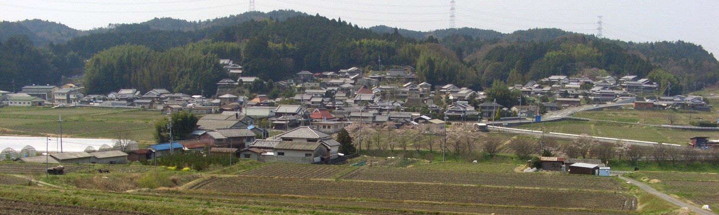 大柳生