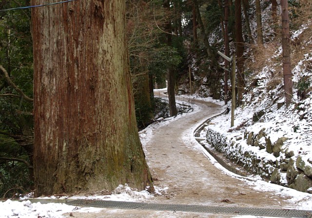 参道