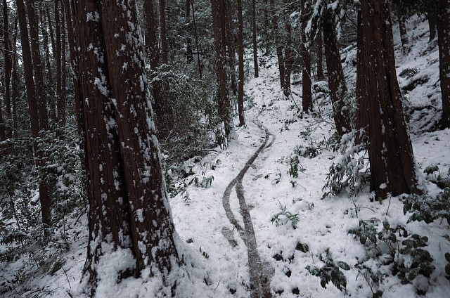 雪道