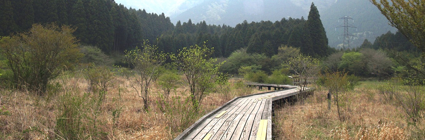 小田貫湿原