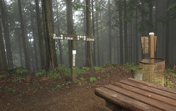 高根山山頂