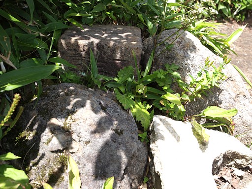屏風岳一等三角点