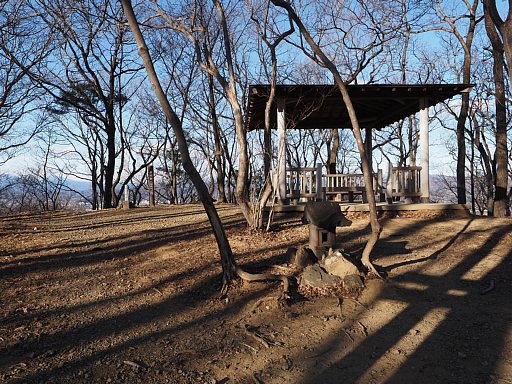 唐沢山山頂