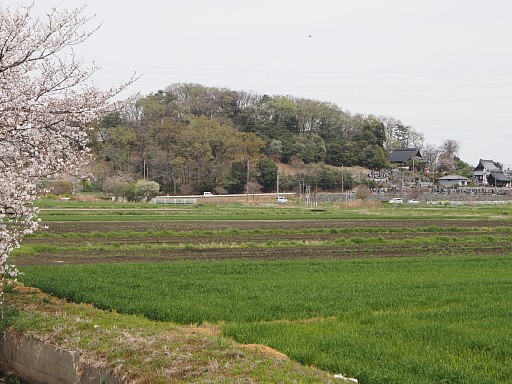 観音山