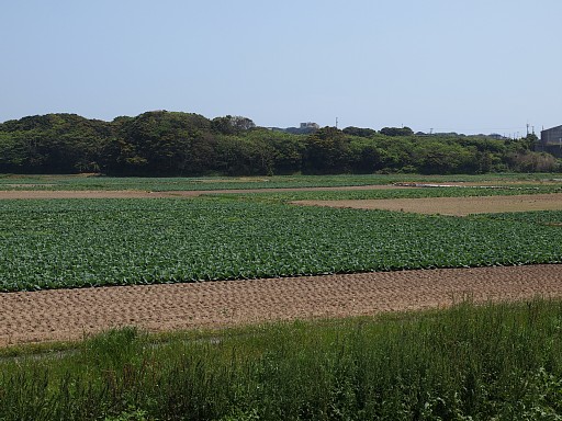 愛宕山