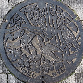 野田市