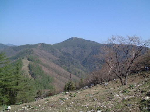 鷹ノ巣山より雲取山