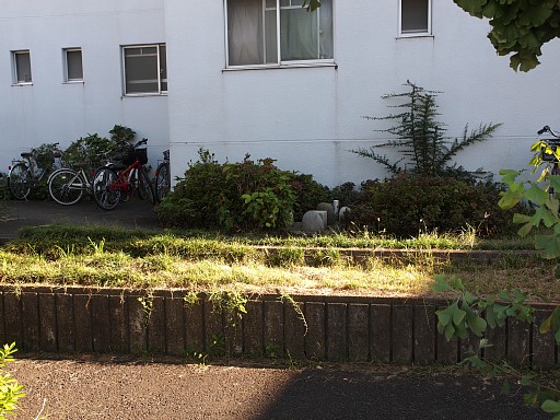 板橋徳丸郵政宿舎2