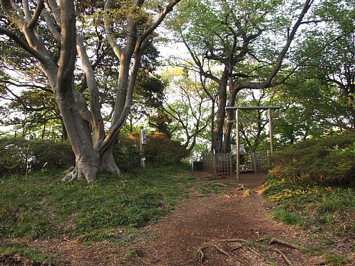 浅間山山頂