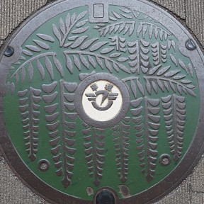 藤沢市1