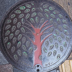 相模原市